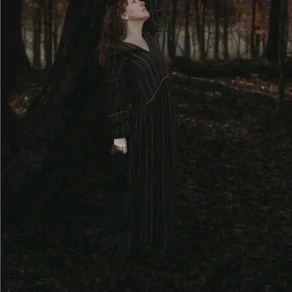 Anthropologie St. Morian Dress size XS - Picture 3 of 9